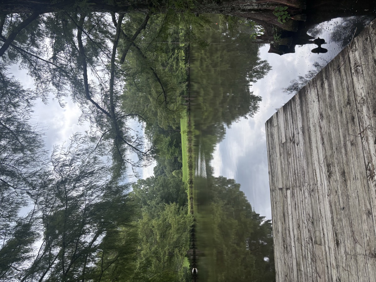 Fishing dock and pond at Brigadoon Farms
